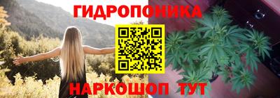 шишки Малоярославец