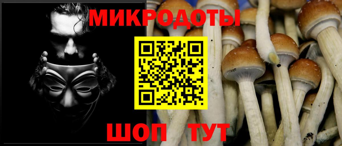 Псилоцибиновые грибы ЛСД  Вход с VPN  Чусовой  Галлюциногенные грибы Psilocybine cubensis 
